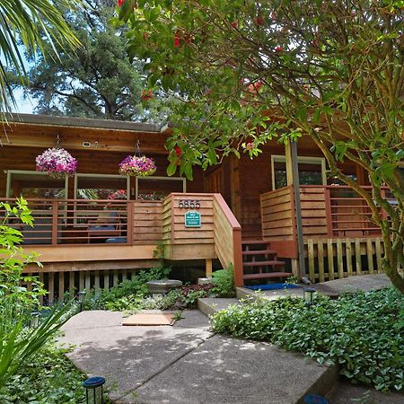 Woods Waves: Luxury Coast Cabin King Beds Pets Tillamook Exterior photo